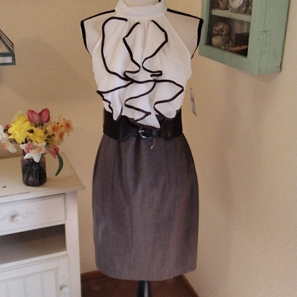 NWT IZ Byer Dress